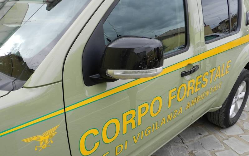 Corpo Forestale