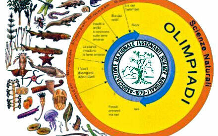 Logo olimpiadi scienze naturali