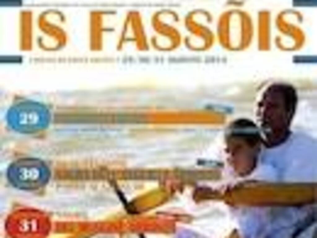 Fassois 2014 mini