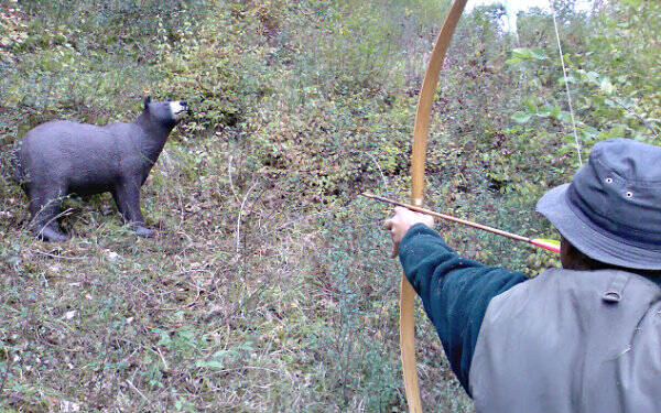 Tiro con arco sagome animali