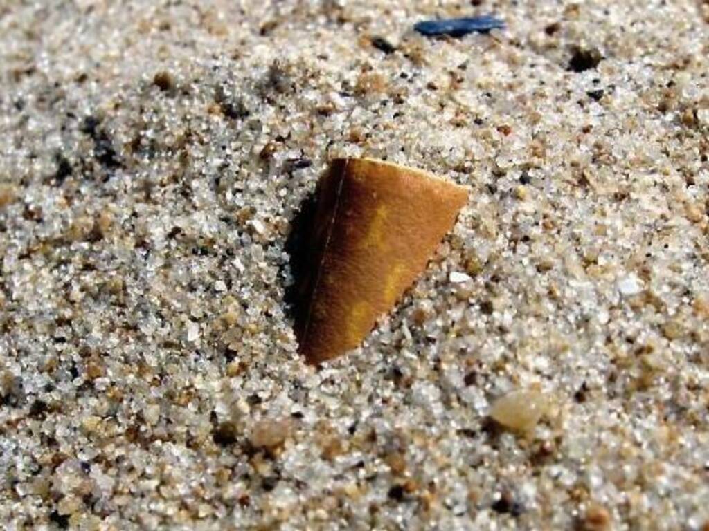 Spiaggia cicche fumo sigaretta