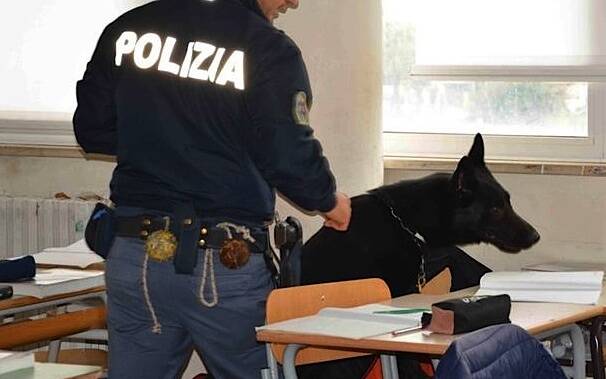 Polizia Droga Cani