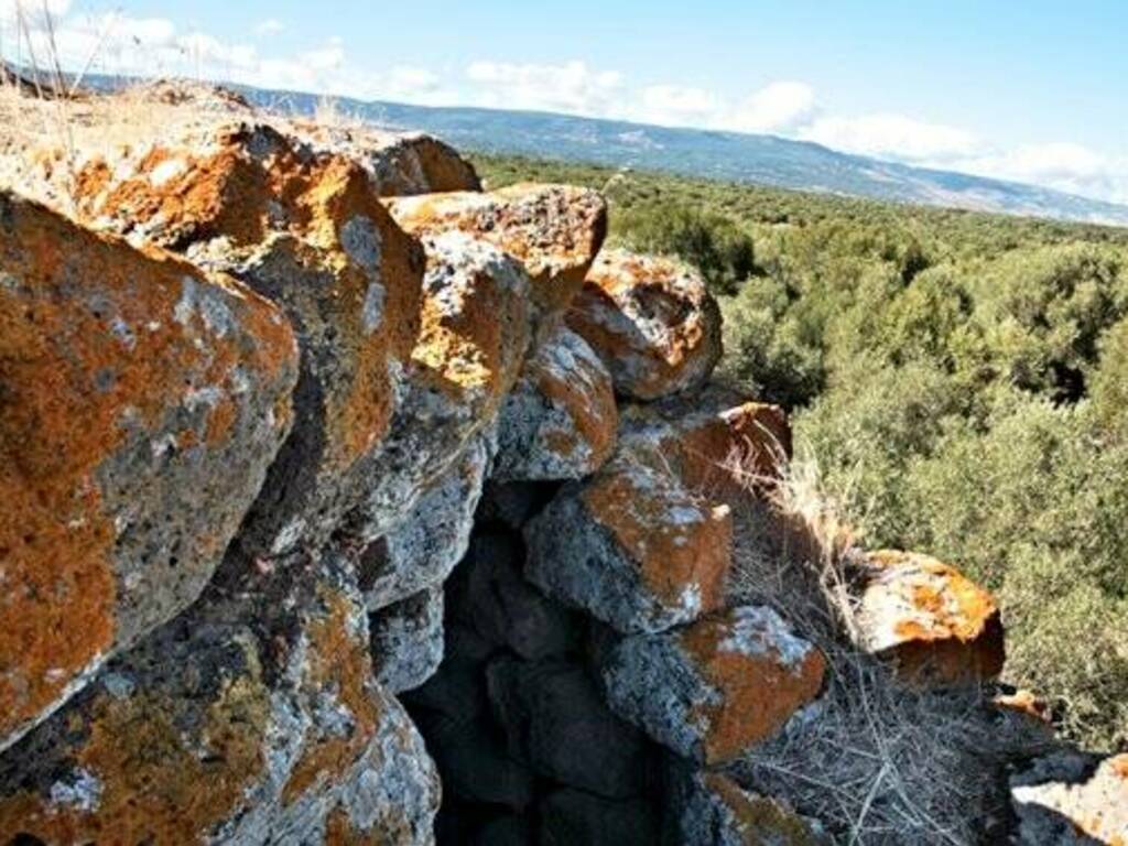 Bauladu_NURAGHE-COPERTO-E-ULIVI - MONUMENTI APERTI