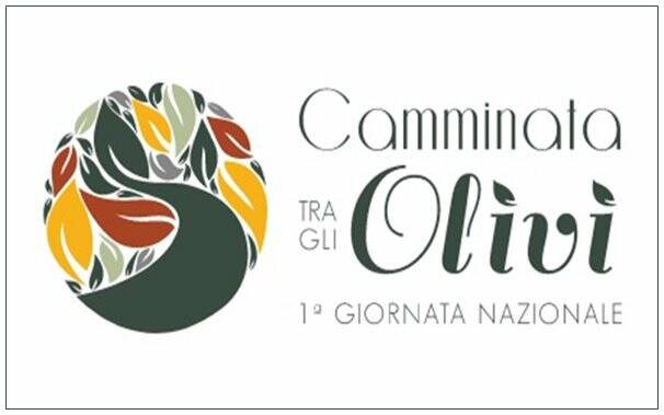 Camminata tra gli olivi