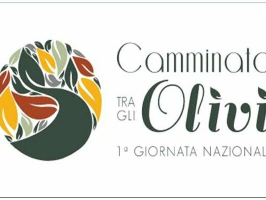 Camminata tra gli olivi