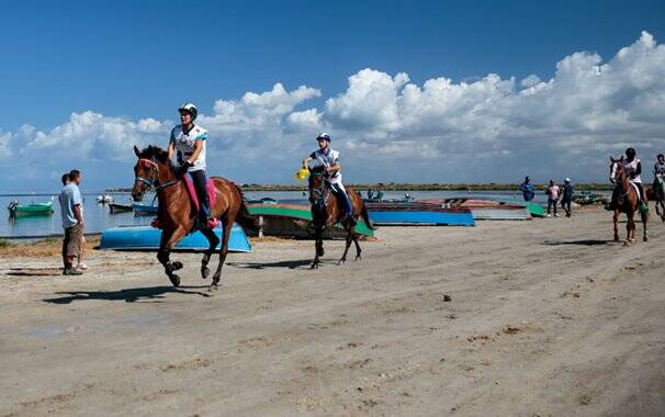 Arborea - Sardegna Endurance Festival 13