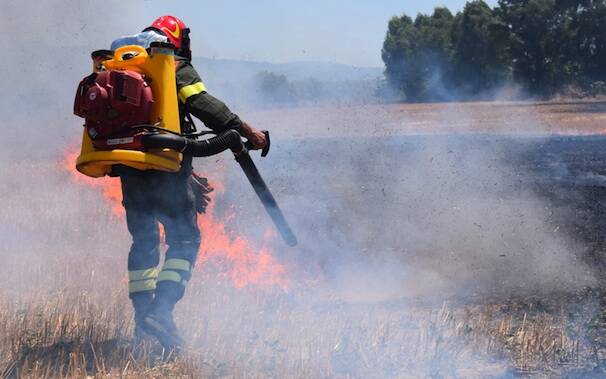 Forestale Incendio Simaxis