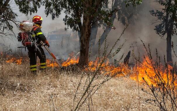 Incendio Forestale