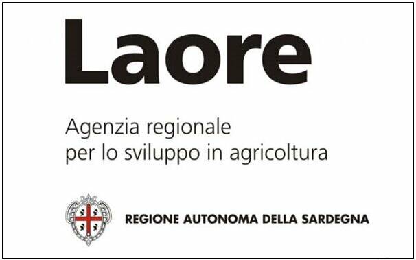 Laore - logo