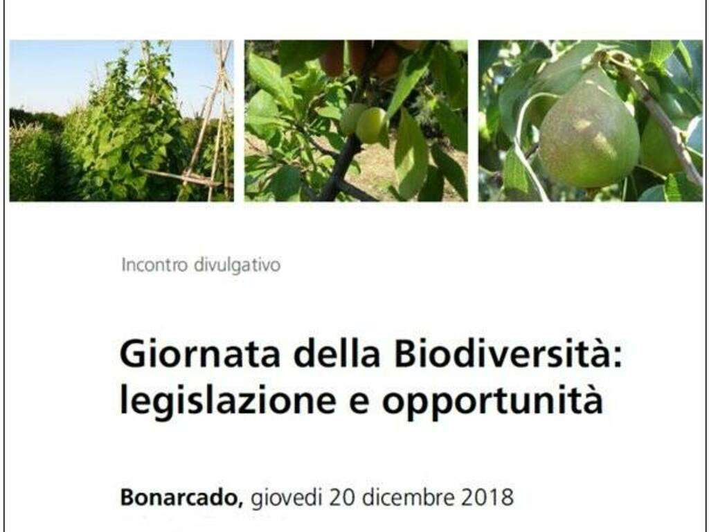 Bonarcado - Giornata biodiversità