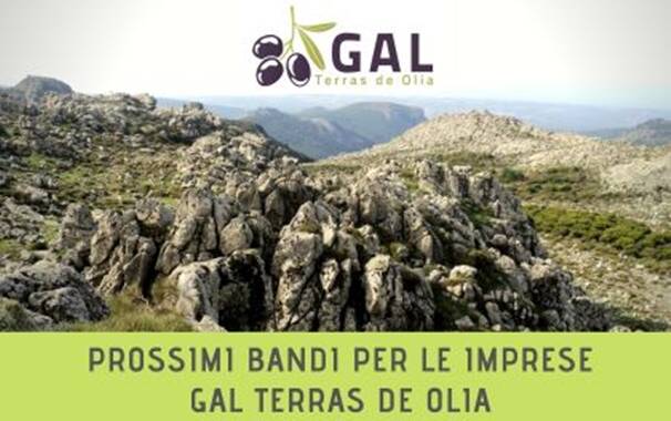 GAL OLIAS - Locandina animazione bozze bandi_ EVIDENZA