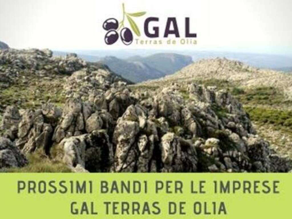 GAL OLIAS - Locandina animazione bozze bandi_ EVIDENZA