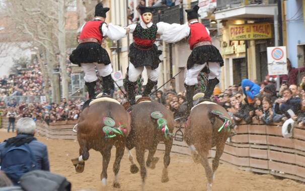 Sartiglia 2019 - gremio falegnami - pariglie 4