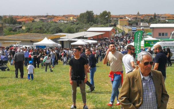 Ollastra - Fiera San Marco 2019 7