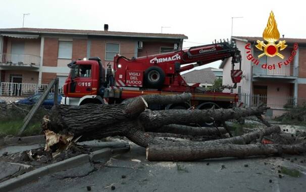 Oristano - via Campanelli - danni vento - albero abbattuto