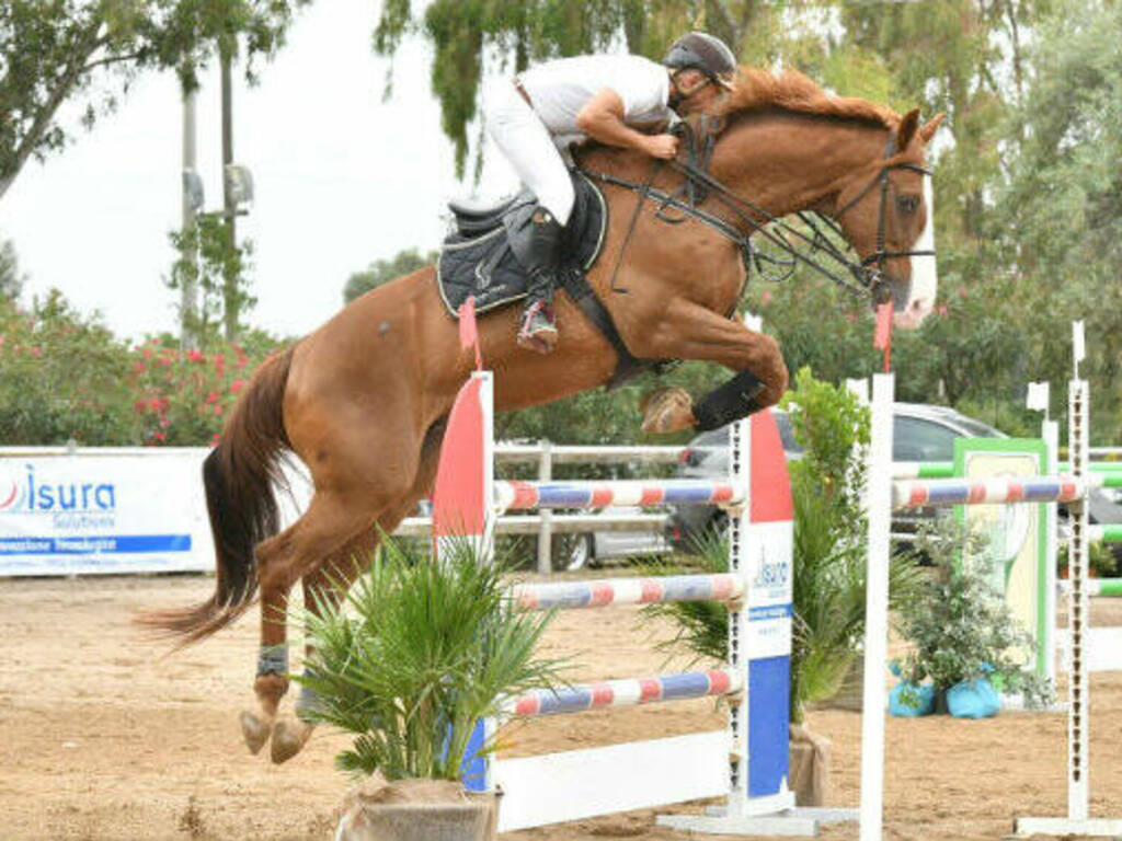 Malacaragonis - Paolo Ortu campionati salto ostacoli regionali Foto Corbinzolu