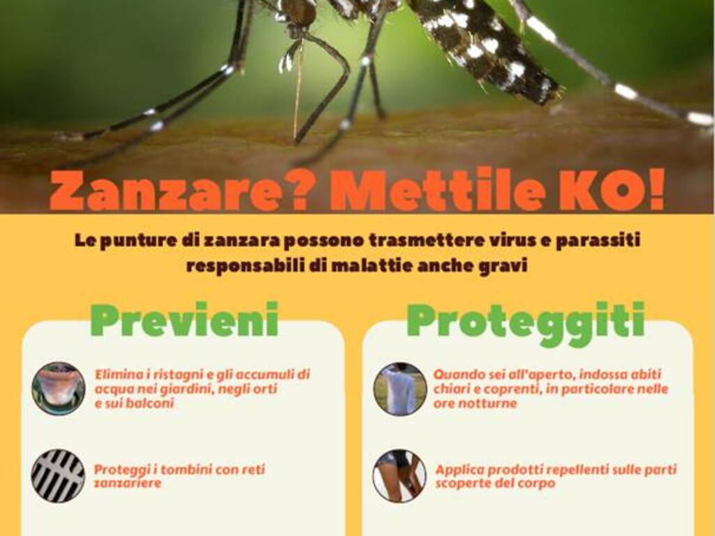 Zanzare - locandina Assl - protezione