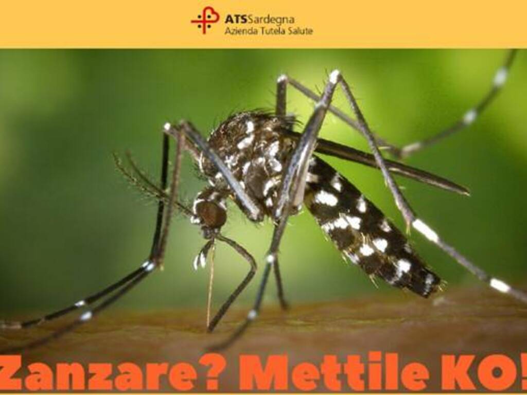 Zanzare - locandina Assl - protezione EVIDENZA