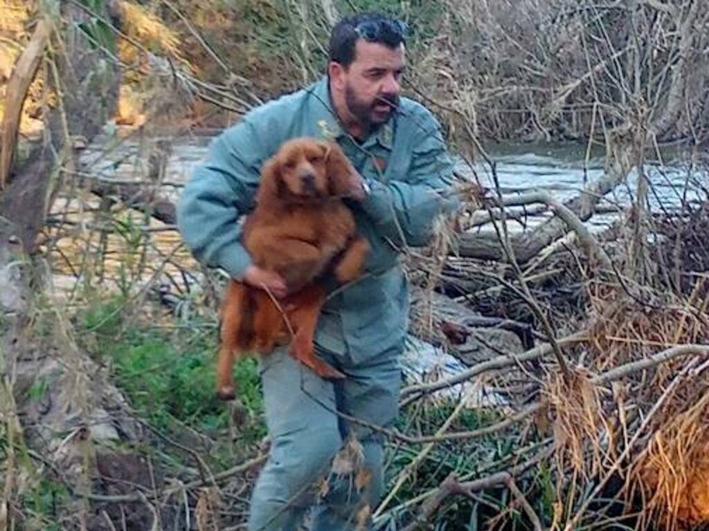 Fordongianus Forestale Villaurabana cane salvatore fiume tirso