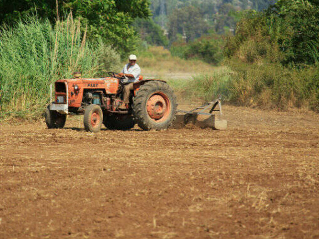 agricoltura - lavoro - campi -trattore