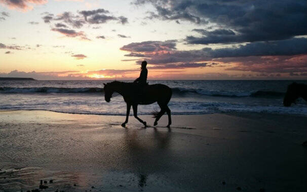 horse country resort centro equestre arborea