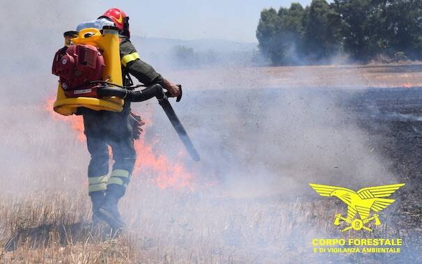 Incendio forestale