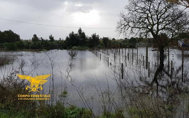 campagne allagate san nicolò arcidano