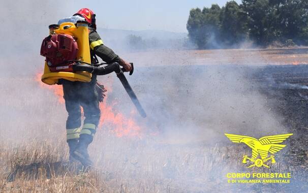 Incendio - Foto Corpo Forestale