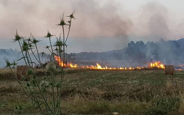 Terralba - incendio - vicino alle case