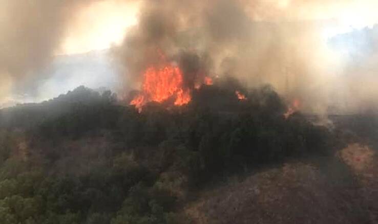 Nube di fumo nei boschi - incendio