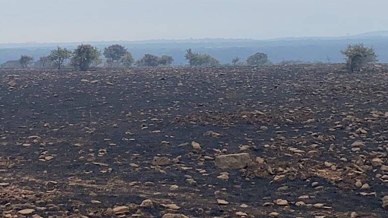 Terra bruciata - incendio Montiferru Planargia