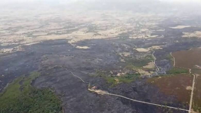 Vista dall'alto - incendio Montiferru Planargia