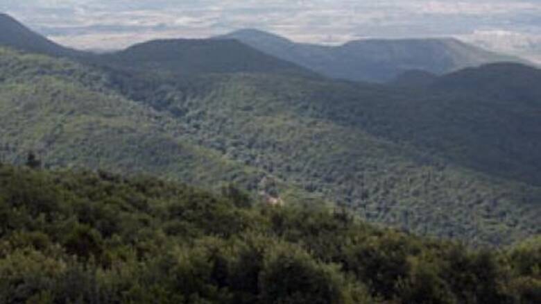 Monte Arci - Acquafrida - Sardegna Foreste