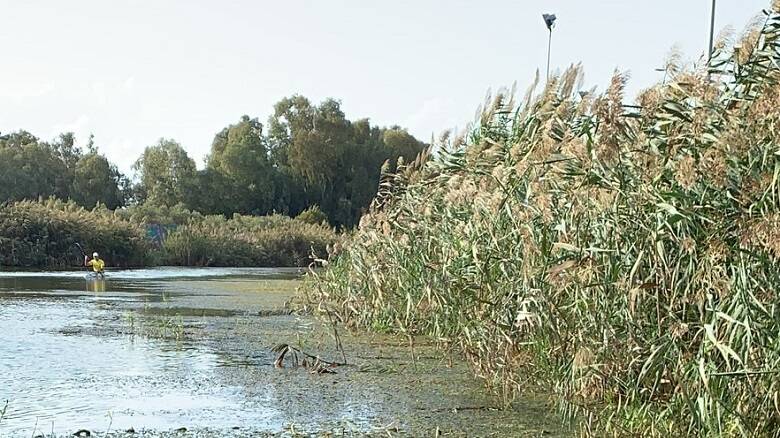 Le alghe hanno invaso il rio Tanui