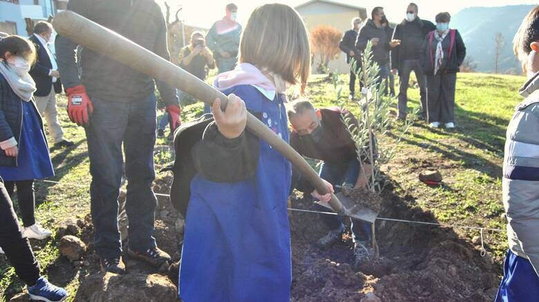 Cuglieri 20 novembre 2021 - bambini mettono a dimora piante ulivo