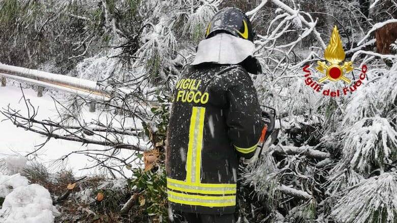 Vigili del fuoco neve alberi 
