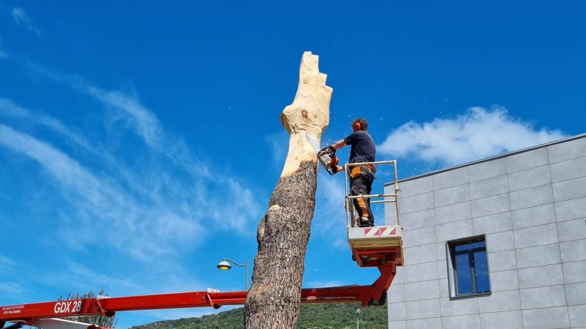 Albero scolpito ad Allai