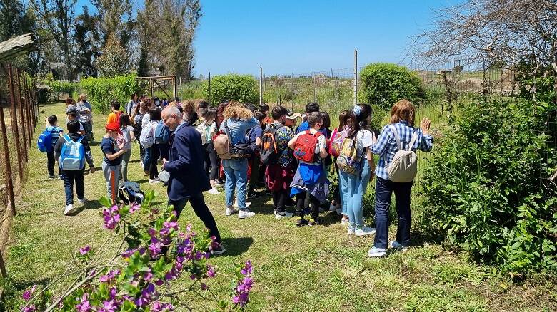 Parco degli uccelli - Scano di Montiferro 1