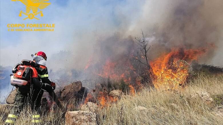 Incendio Cabras luglio 2021 bis - Foto Ufficio Stampa Corpo Forestale