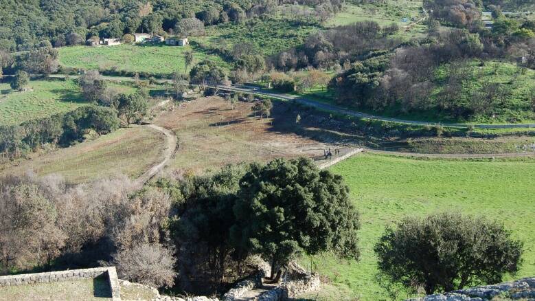 Cuglieri - messa a dimora alberi Nespresso