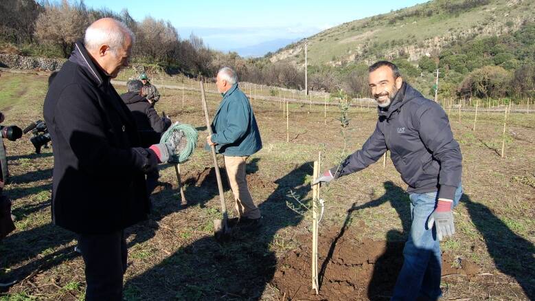 Cuglieri - messa a dimora alberi Nespresso