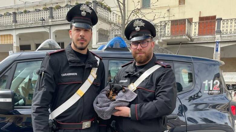 I carabinieri di Tula salvano un cucciolo