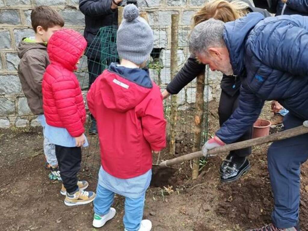 Istituto comprensivo Cuglieri - Messa a dimora seconda piantina