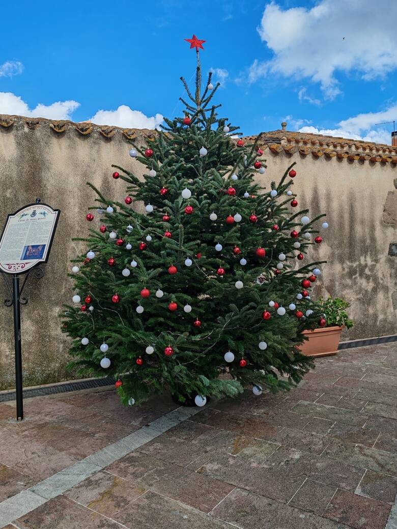 Ollastra - albero piazza Santa Severa
