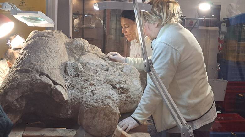 Al museo di Cabras si lavora al restauro delle sculture rinvenute nelle campagne di scavo 2014 e 2016