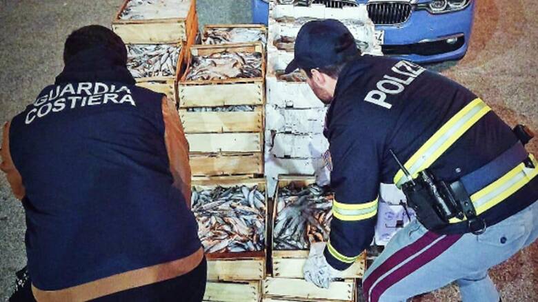 La polizia sequestra il pescato al porto di Olbia