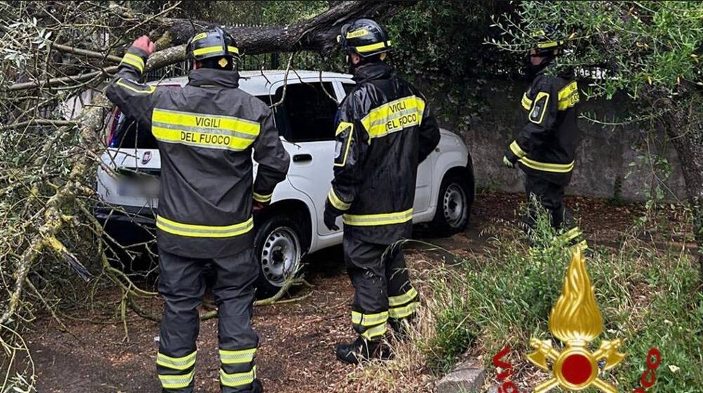 I vigili del fuoco liberano la Fiat Panda colpita dal ramo di un albero, a Sassari